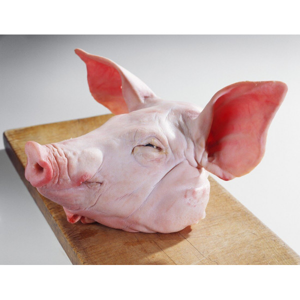 Pork Whole Head (6-6.5Kg)